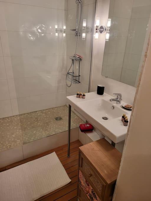 Appartement Luxe "La Providence" , Plein Centre ヴィシー エクステリア 写真