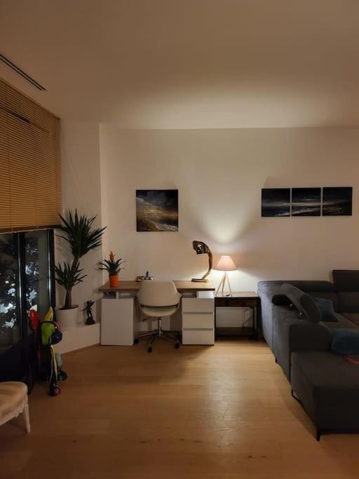 Appartement Luxe "La Providence" , Plein Centre ヴィシー エクステリア 写真