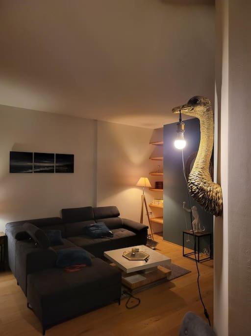 Appartement Luxe "La Providence" , Plein Centre ヴィシー エクステリア 写真