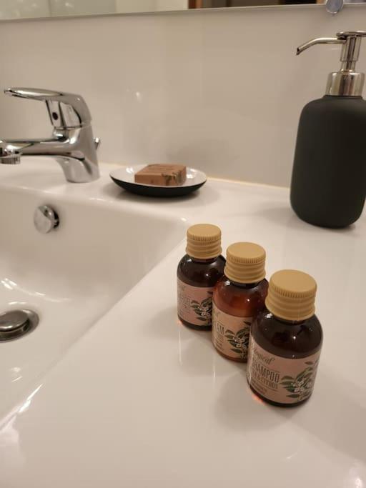Appartement Luxe "La Providence" , Plein Centre ヴィシー エクステリア 写真