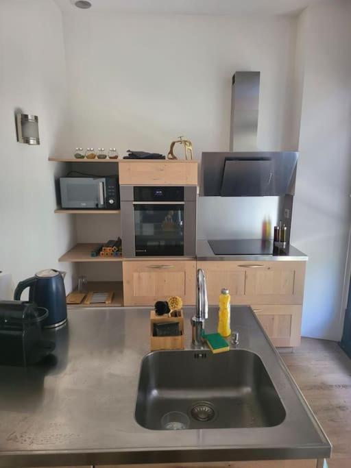 Appartement Luxe "La Providence" , Plein Centre ヴィシー エクステリア 写真
