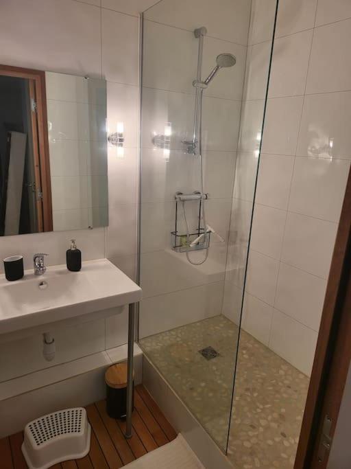 Appartement Luxe "La Providence" , Plein Centre ヴィシー エクステリア 写真