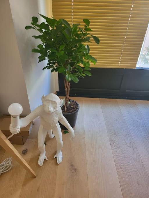 Appartement Luxe "La Providence" , Plein Centre ヴィシー エクステリア 写真
