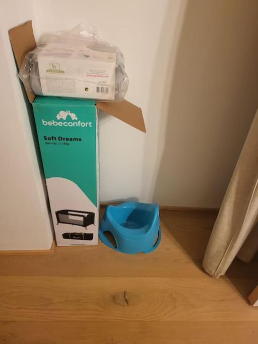 Appartement Luxe "La Providence" , Plein Centre ヴィシー エクステリア 写真