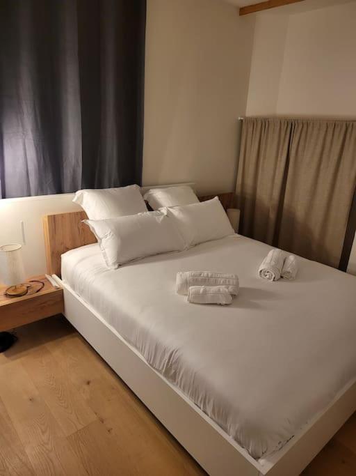 Appartement Luxe "La Providence" , Plein Centre ヴィシー エクステリア 写真