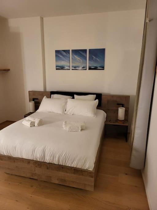 Appartement Luxe "La Providence" , Plein Centre ヴィシー エクステリア 写真