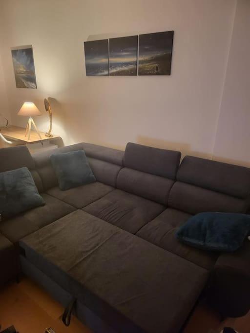 Appartement Luxe "La Providence" , Plein Centre ヴィシー エクステリア 写真