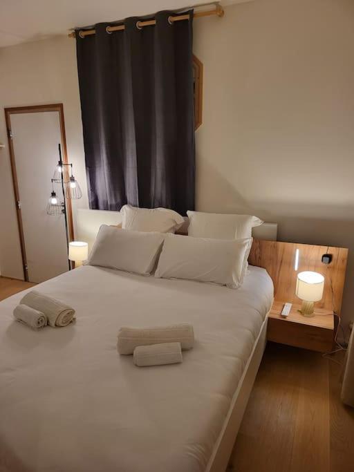 Appartement Luxe "La Providence" , Plein Centre ヴィシー エクステリア 写真