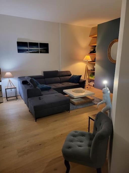 Appartement Luxe "La Providence" , Plein Centre ヴィシー エクステリア 写真